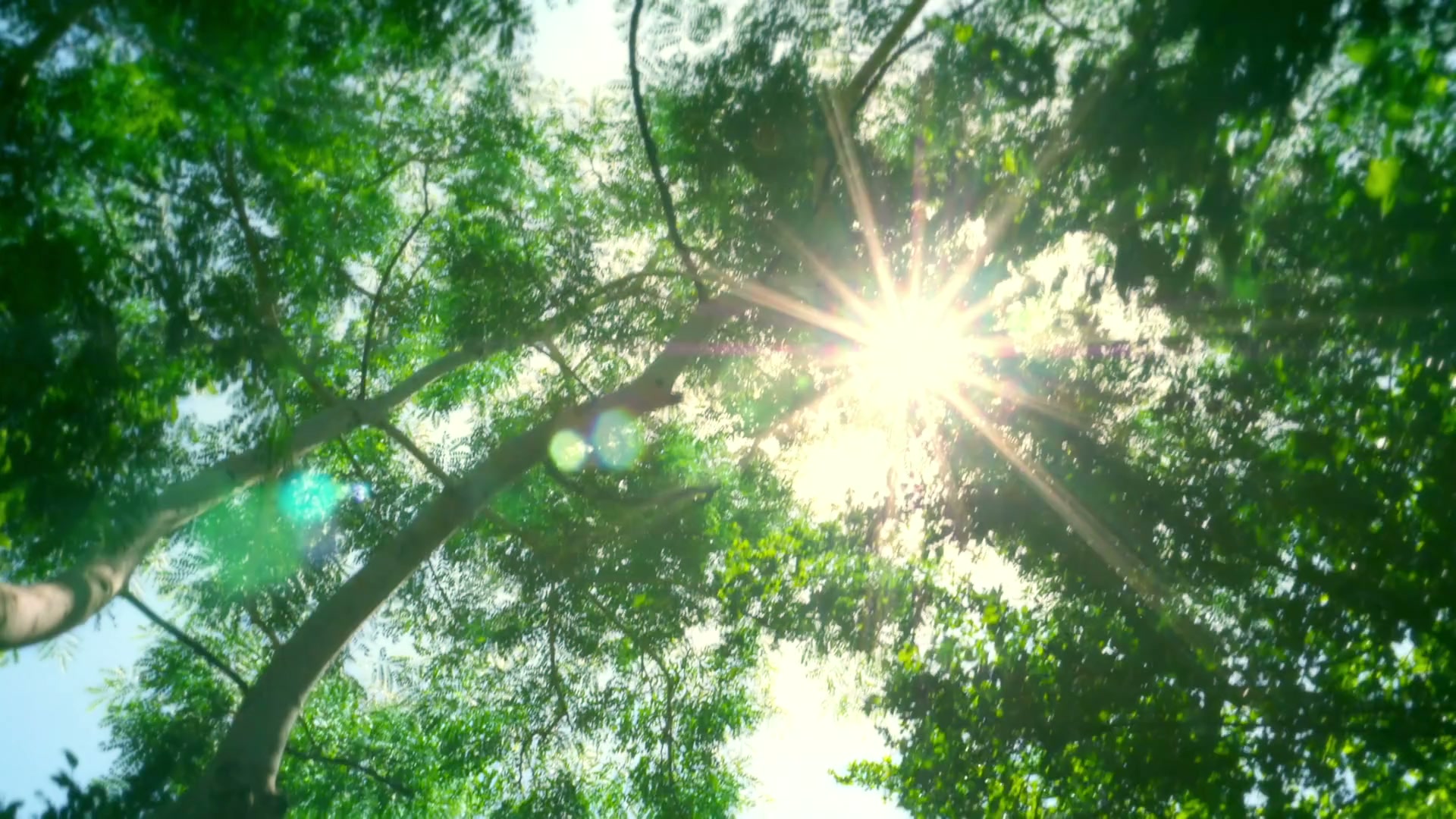 SuperNan3 Brand Film Still